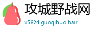 攻城野战网